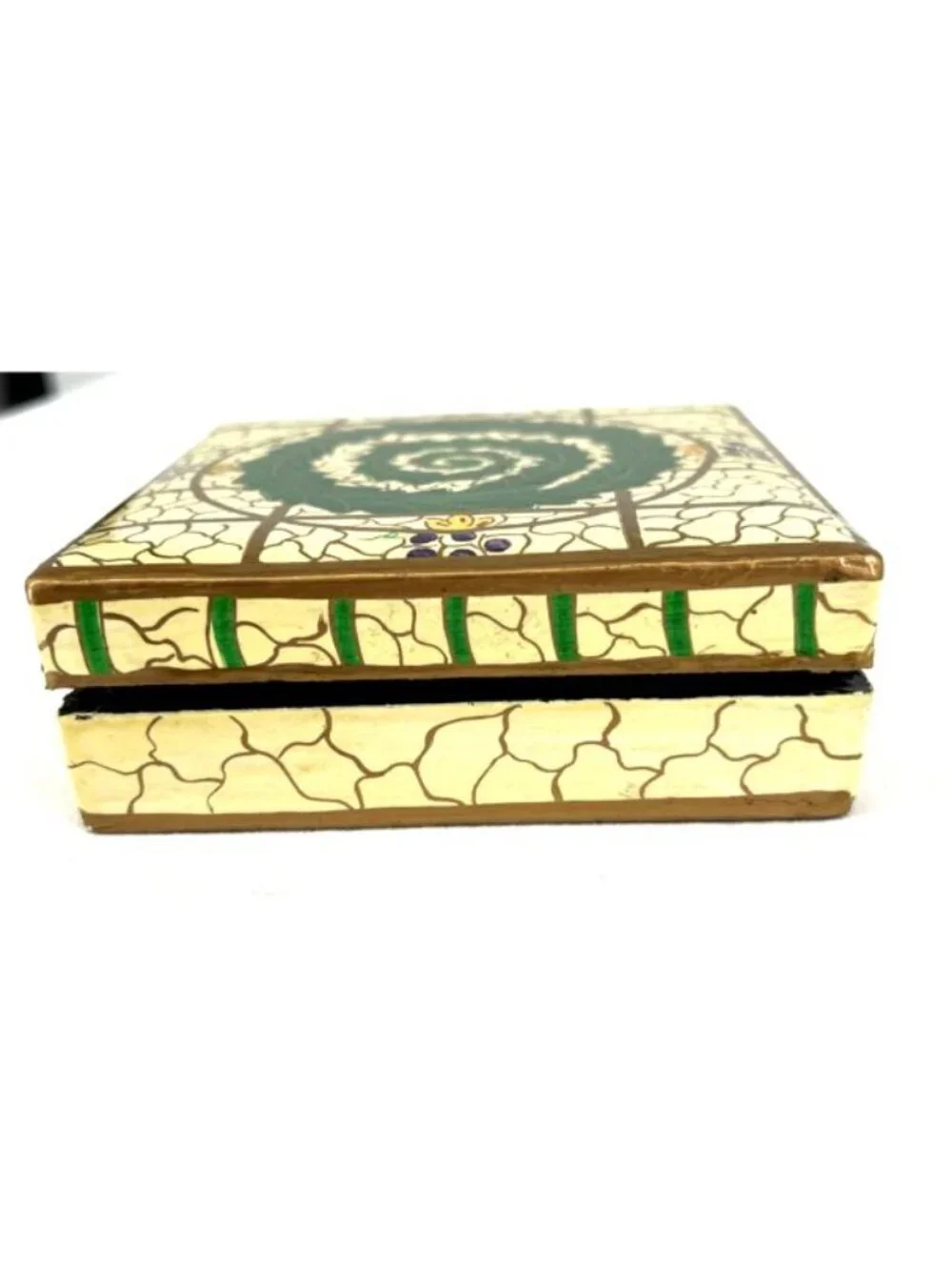 India Coasters Hand Painted Lacquered Paper Mache 6 Coasters w/ Box